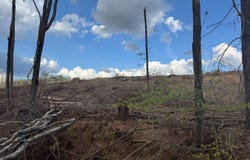 Interstate 55, Winona, MS 38967