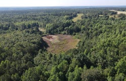 0 Eley Road, Gibson, GA 30810