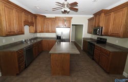 730 John Cabaniss Road, Langston, AL 35755