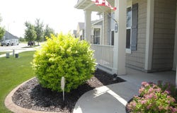 9101 Green Meadow Drive, Cedar Lake, IN 46303