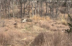 Tbd Hwy W, Lake Ozark, MO 65049