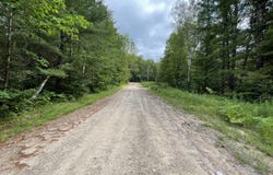 Shiawassee Trail, Gaylord, MI 49735