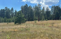 300 Hills Circle, Pagosa Springs, CO 81147