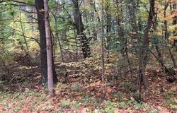 673 Alcove Road, New Baltimore, NY 12124