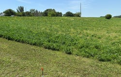 000 Industrial Drive, Ida Grove, IA 51445