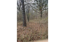 000 lot 21 Gather Griffin farm road, Quitman, AR 72131