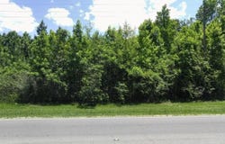 NW County Road 12, Bristol, FL 32321