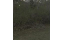 22 S Forest Cove Loop, Coldspring, TX 77331