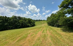 _ Upper Nicut Road, Nicut, WV 26636