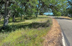 16298 Lariat Loop, Corning, CA 96021