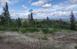 Ranch Rd, Loon Lake, WA 99148
