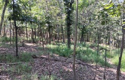 Lot 84 ROUNDTOP LANE, BERKELEY SPRINGS, WV 25411