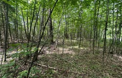 2.3AC BLACK FOREST RD, Presque Isle, WI 54557