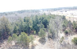 W M-55, West Branch, MI 48661