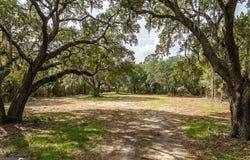 17 N highway, Awendaw, SC 29429