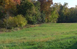 260 MOORE ROAD, DOWNINGTOWN, PA 19335