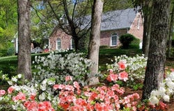 3008 Williams Rd, Knoxville, TN 37932
