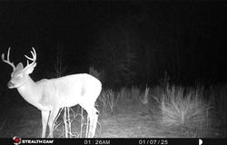 Tbd Athens Church Road, Hallsville, TX 75650