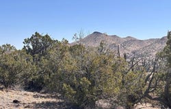 Abbe Springs lot: 124, Magdalena, NM 87825