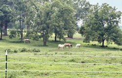 359 E Dade 74, Greenfield, MO 65661