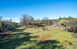 **** Western Whitehouse Way, Oak Run, CA 96069