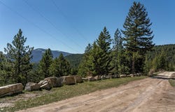 771 Jackson Meadows Road, Kila, MT 59920