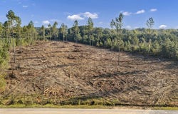 0 Fruit Hill Road, Saluda, SC 29138-0000