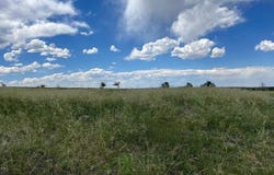 4617 Simpson Dr, Colorado City, CO 81019