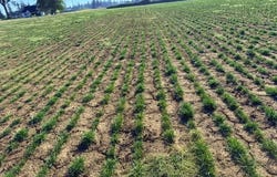 31601 S YODER Rd, Hubbard, OR 97032