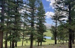 163 Goleta Court, Rociada, NM 87742