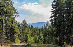 202 Grizzly Gulch Road, Fortine, MT 59918