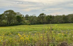 121 Decker Springs Rd, Elizabethtown, IL 62931