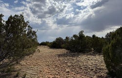 291 County Rd 8052, Concho, AZ 85924