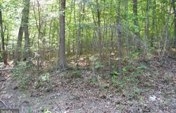 3 Lots - 59, 60, 61 BALDWIN Road, FRONT ROYAL, VA 22630