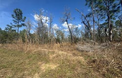 Tbd NE 155TH AVENUE, WILLISTON, FL 32696
