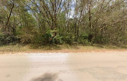 ANNETTE, INTERLACHEN, FL 32148