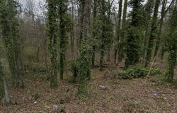 Battey Drive, Rome, GA 30161