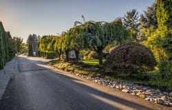 1402 SW 20TH Ave, BattleGround, WA 98604