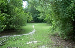 0 Piney Heights Road, Warrenville, SC 29851