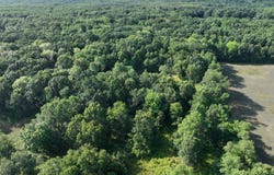 6539 E Madison Road, Walkerville, MI 49459