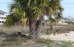 725 E Gorrie Dr, St. George Island, FL 32328