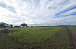 County Rd 70 lot: 8, Bishop, TX 78343