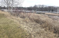 10631 Maple Drive, Riverdale, MI 48877