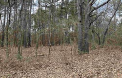Tract 3 Venus Rd, White Oak, TX 75693