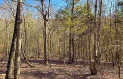 370 Guy Lane, Quitman, AR 72131