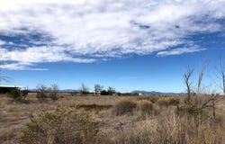 Colletti Drive (A), Moriarty, NM 87035