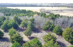 Cr 656 County Road 656, Farmersville, TX 75442
