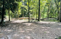 1169 Old Bumpy Road, Tallahassee, FL 32317