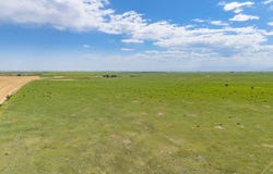 46507 County Road 21, Nunn, CO 80648