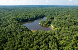 2918-3000 Chestnut Ridge Church Road, Efland, NC 27243